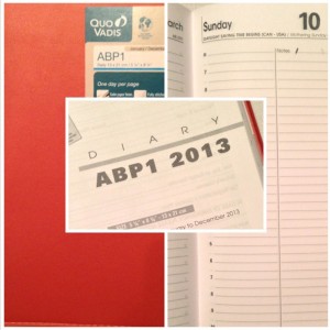 QuoVadis_Canada_ABP1_DailyPlanner_DownshiftingPRO