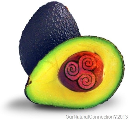 Logo OurNaturalConnection VancessaCase thumb 25255B8 25255D1