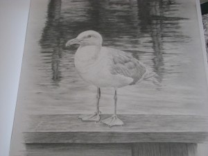 IMG_9298[1]