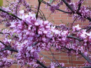 photo (5)