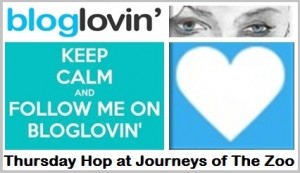 Thursday BlogLovin Hop at Journeys of The Zoo