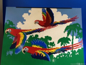 LEGO_parrots_DownshiftingPRO_WordlessWednesday