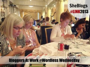 #Link2013_SheBlogs