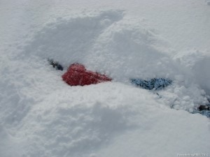 IMG_9988[1]