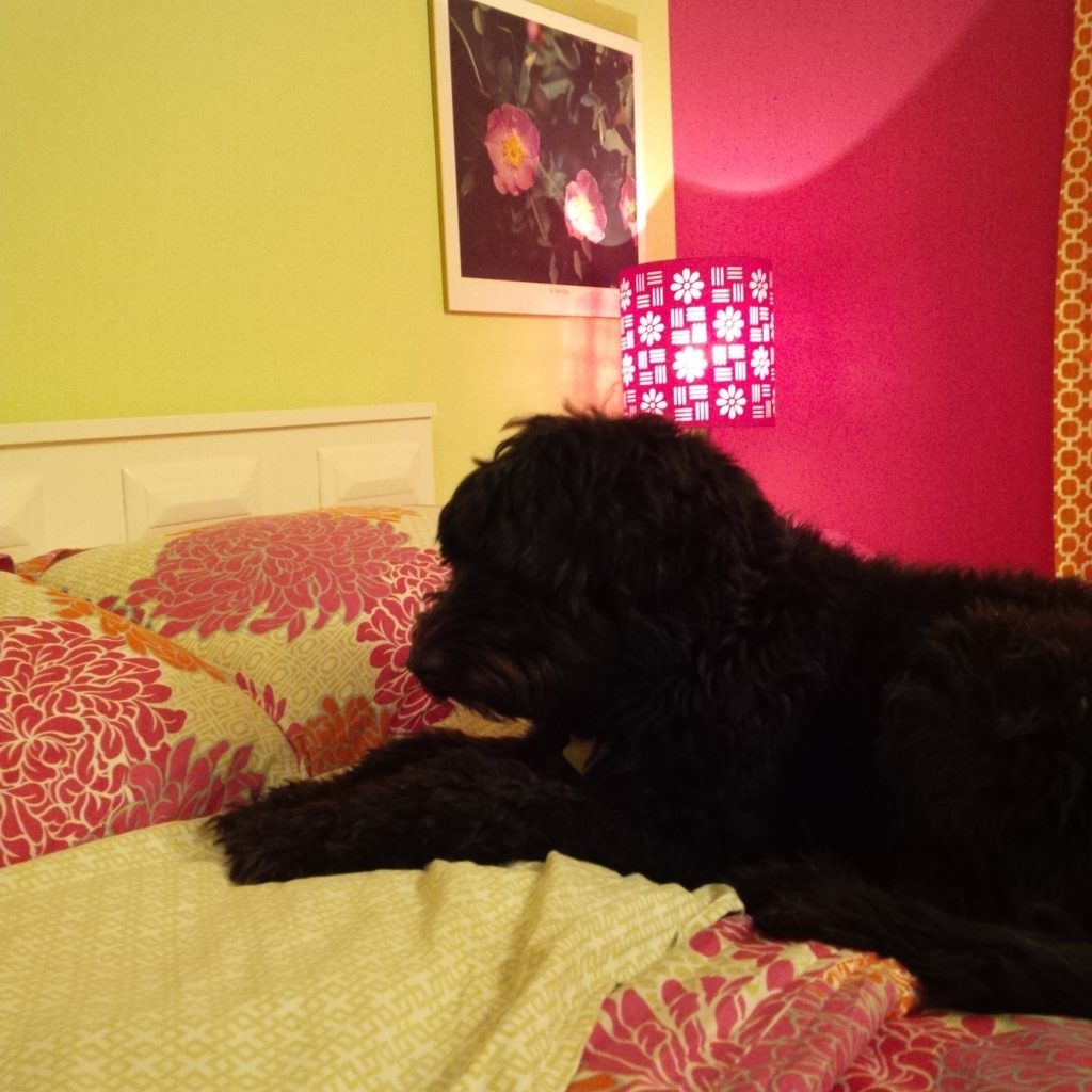 Hannay's  Benjamin Moore Makeover surprise for her 15th Birthday.