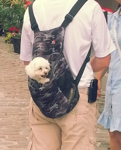@DownshiftingPRO Quebec Family Vacation _ 2