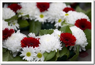 close up shot of red and white flower wreath