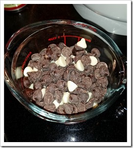 Pamela's Gluten Free Flour #Healthy Shopper Fall 2014 - Chocolate chips