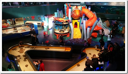 Ripley's Aquarium of Canada Wordless Wednesday DownshiftingPRO_4