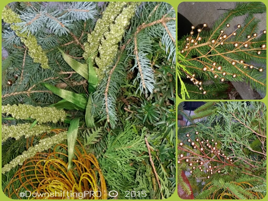 Winter container planters DownshiftingPRO -2.jpg Winter container planters DownshiftingPRO -2.jpg