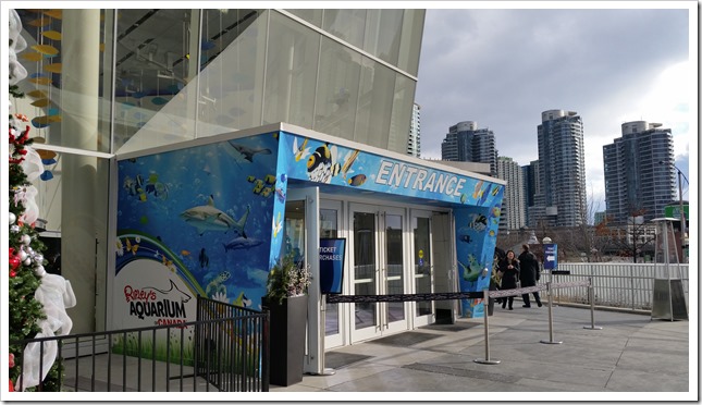 Ripley's Aquarium Canada 5 Place to Visit on March Break @DownshiftingPRO Ripley's Aquarium Canada 5 Place to Visit on March Break @DownshiftingPRO