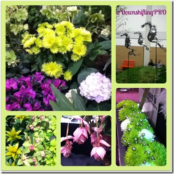 Canada Blooms @DownshiftingPRO Canada Blooms @DownshiftingPRO