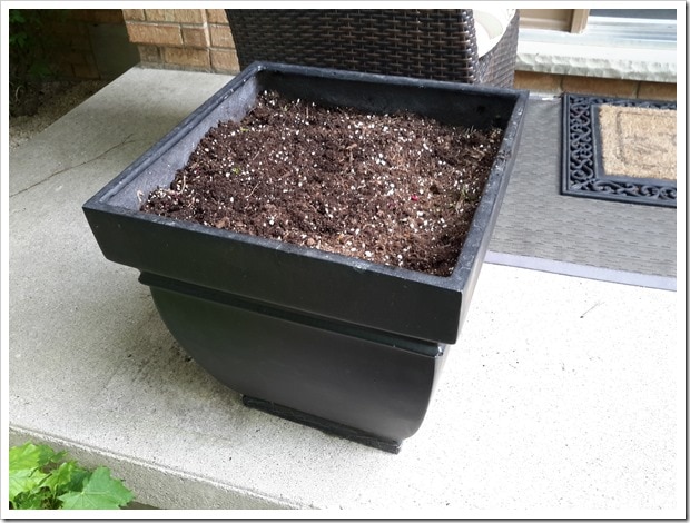 Miracle Grow Potting Mix for Summer Containers - @DownshiftingPRO