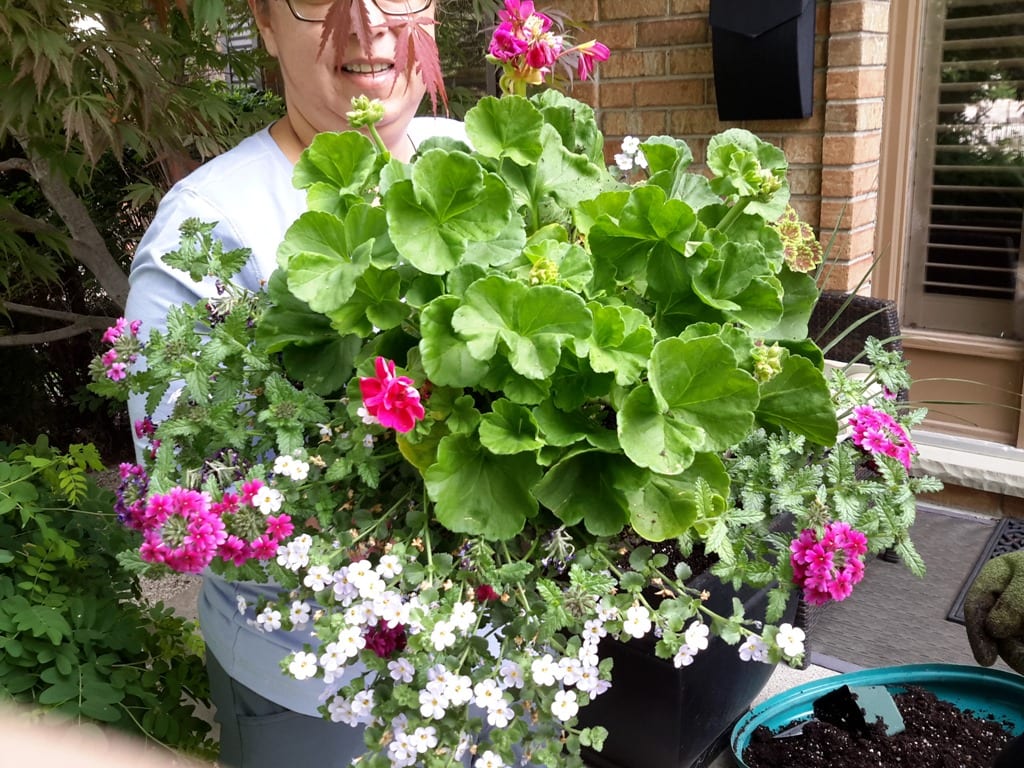 Summer Containers Fast, Easy and Cheap Gardening with
