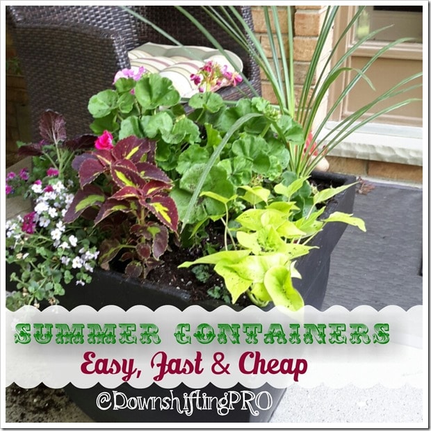 Summer container Planters @DownshiftingPRO