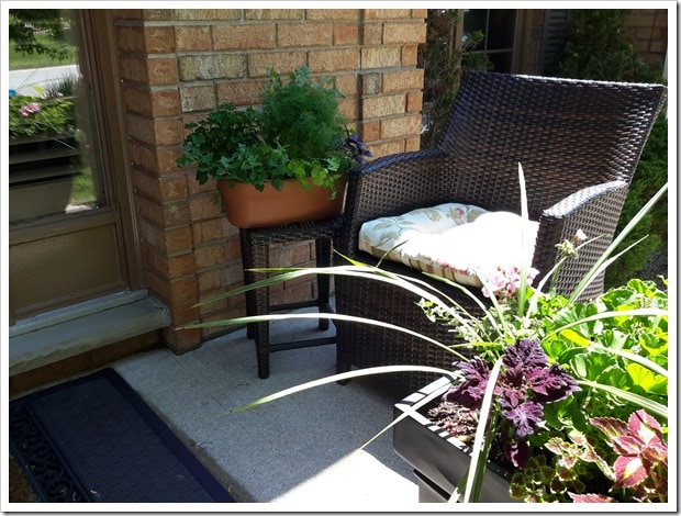 Costco Hanging Plants for Summer Containers - @DownshiftingPRO