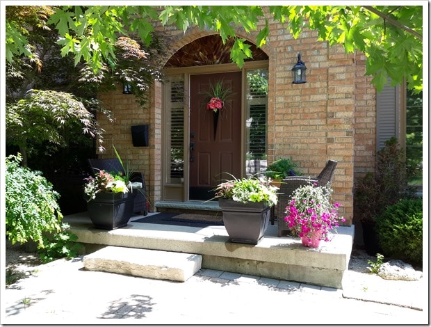 Costco Hanging Plants for Summer Containers - @DownshiftingPRO