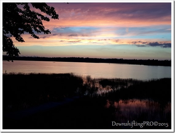 DownshiftingPRO&copy;2015