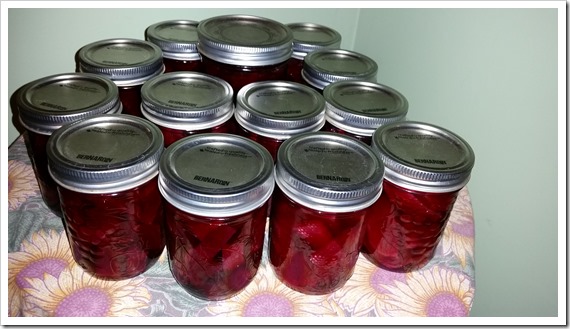 Canning Pickled Beets @DownshiftingPRO