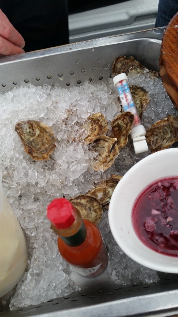 Toronto Food and Wine Festival at the Evergreen Brick Works 6 Fresh Oyster from Peal Diver boot at the Food and Wine Festival in Toronto
