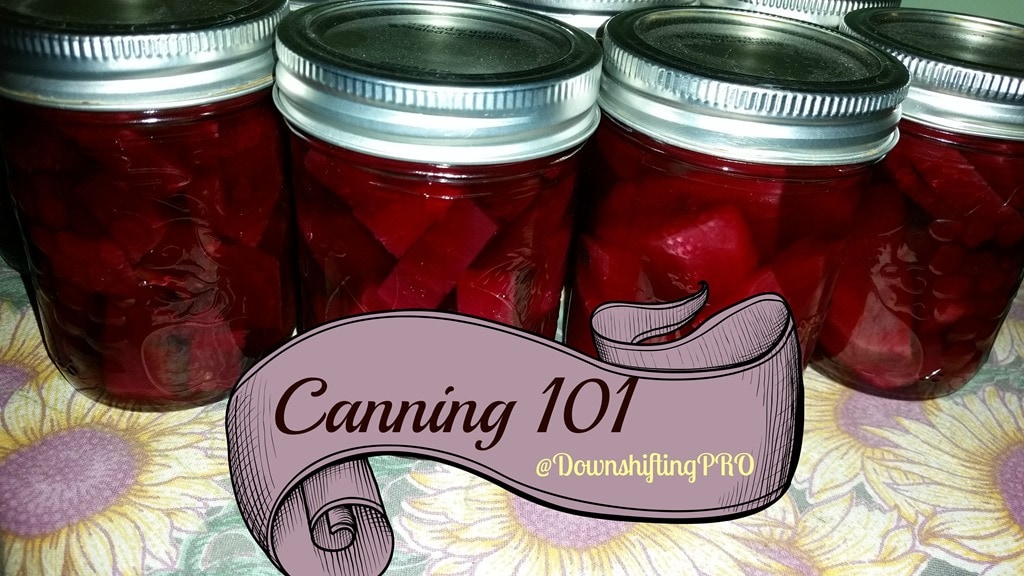 Lessons in Canning 101 Pickled Beets FallHarvest with