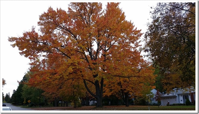 20151023_173039