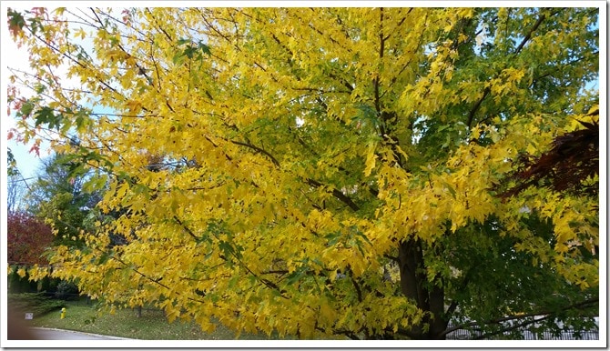 20151025_102226