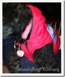 North Fetch Athletics_Review_DownshiftingPRO_7