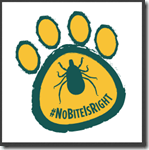 NoBiteIsRigh_Temporary Tattoo