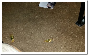 Theatre Do's and Don'ts - Candy Wrappers thrown on the ground @Stratford theatre production