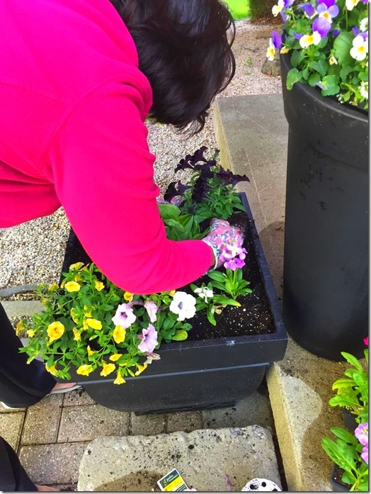 Planting-Summer Planters @DownshiftingPRO