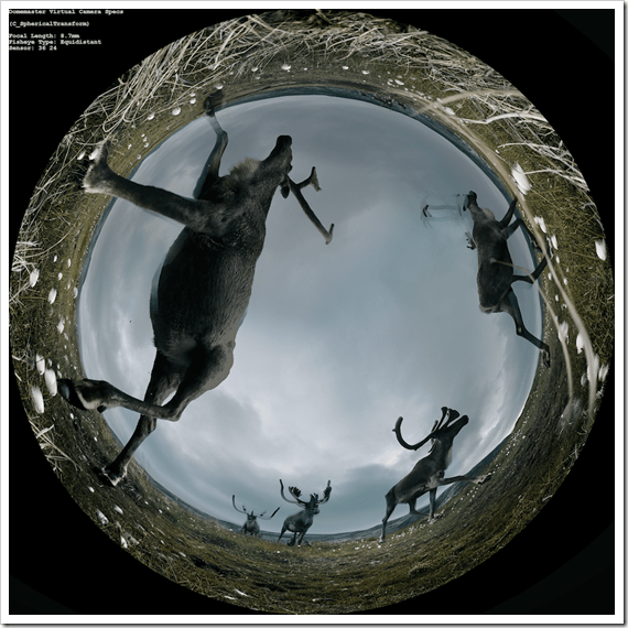 2 SCENE 5-CARIBOU