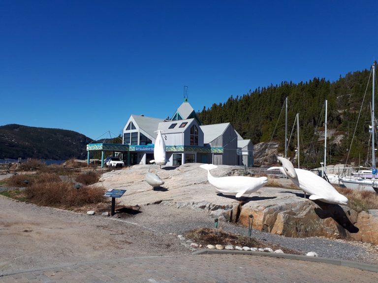 Marine Mammal Interpretive Centre, Tadoussac, Quebec, Canada @DownshiftingPRO