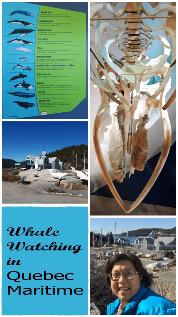 Whale Watching in Quebec Maritime @DownshiftingPRO
