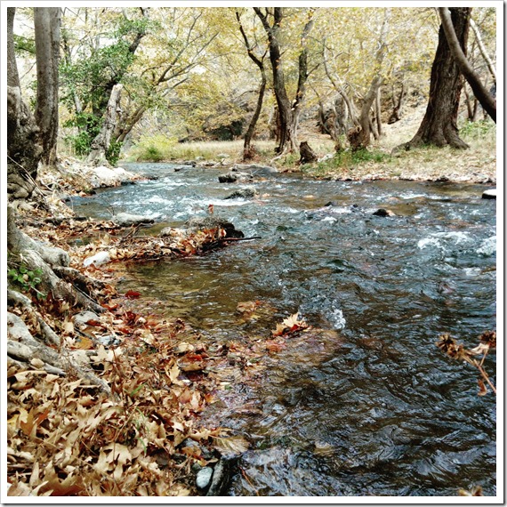 Skopje River CosmicAce