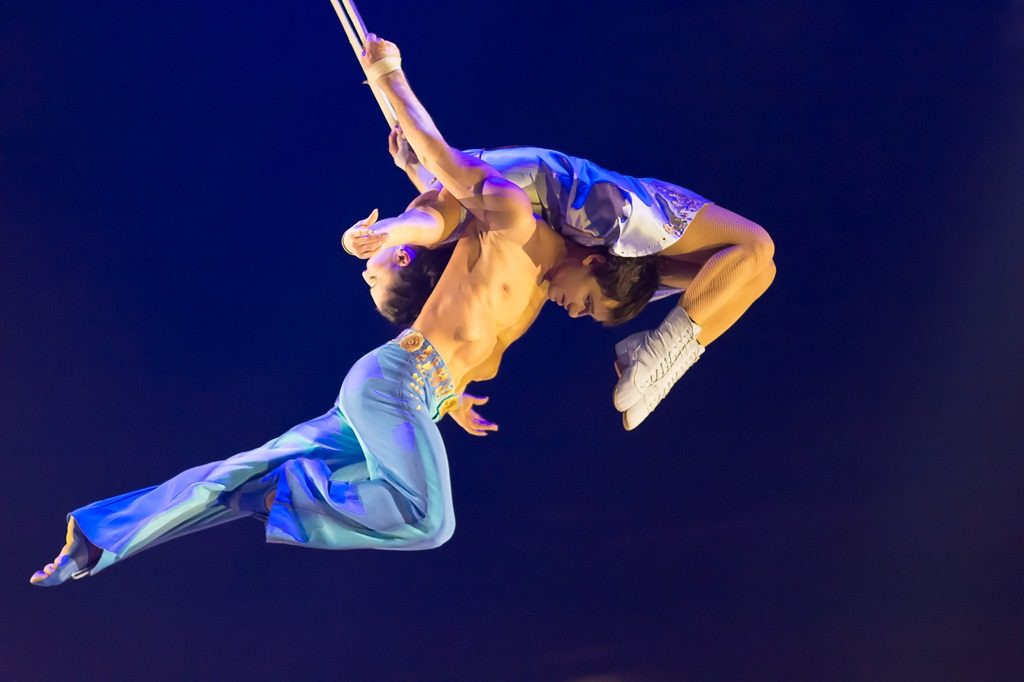 Duo straps Costumes Dominique Lemieux 2018 Cirque du Soleil Photo 8
