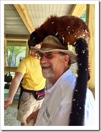 Ultimate Guide to the Gulf Shores and Orange Beach, Alabama 6 Alabama Gulf Coast Zoo - animal encounter