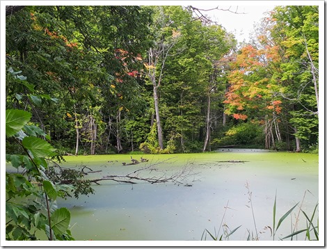 ScandInave Spa in Blue Mountain, Ontario @DownshiftingPRO