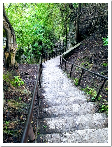 Stairs down to the Grand River and the Elora Gorge in Elora Ontarion @DownshiftingPRO