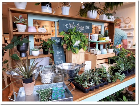 The Georgian Artisan Shop in Thornbury Ontario DownshiftingPRO thumb 1