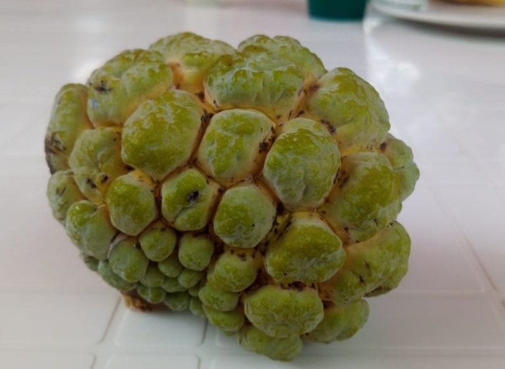 Ultimate Guide to Fruits and Juices of Colombia - with 32 Stunning Pictures 7 anon - sweetsop or sugar apple - Fruits and juices of Colombia. DownshiftingPRO