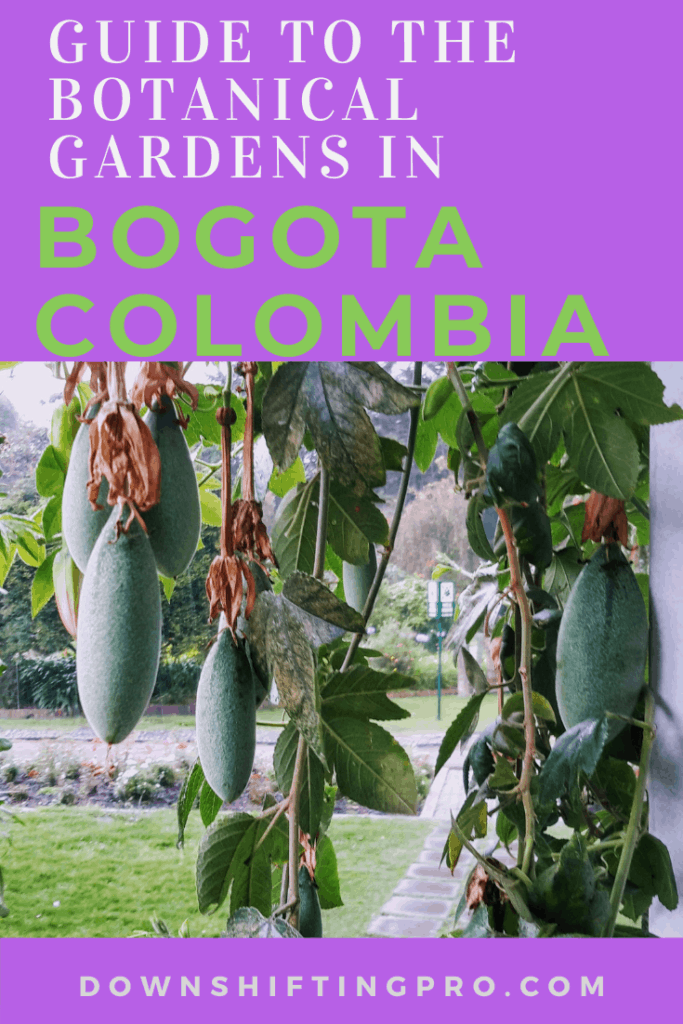 Strategies to Manage Your Travel Blog when NOT traveling 11 Guide to the Botanical Gardens in Bogota Colombia @DownshiftingPRO