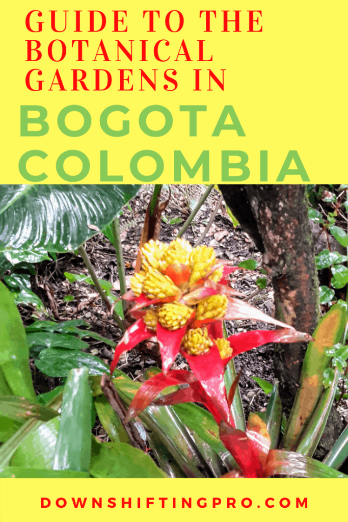 Ultimate Guide to Fruits and Juices of Colombia - with 32 Stunning Pictures 41 Guide to the Botanical Gardens in Bogota Colombia @DownshiftingPRO