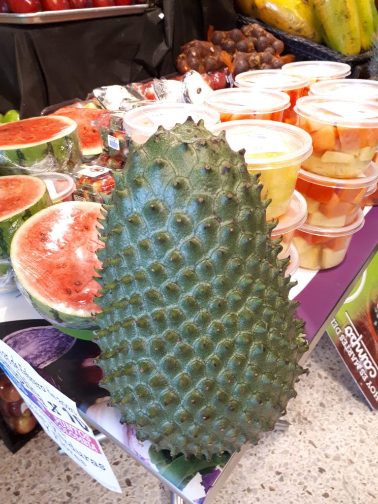 Ultimate Guide to Fruits and Juices of Colombia - with 32 Stunning Pictures 5 Giant Guanabana - Fruits and juices of Colombia. DownshiftingPRO