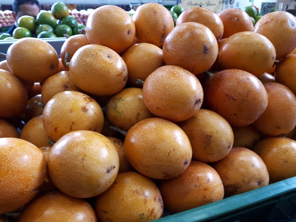 Ultimate Guide to Fruits and Juices of Colombia - with 32 Stunning Pictures 16 Granadilla - Passion fruit - Fruits and juices of Colombia. DownshiftingPRO