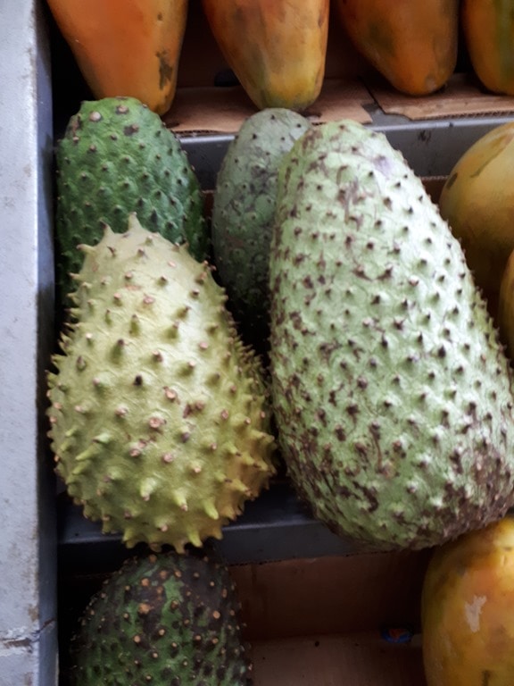 Ultimate Guide to Fruits and Juices of Colombia - with 32 Stunning Pictures 15 Guanabana - Fruits and juices of Colombia. DownshiftingPRO