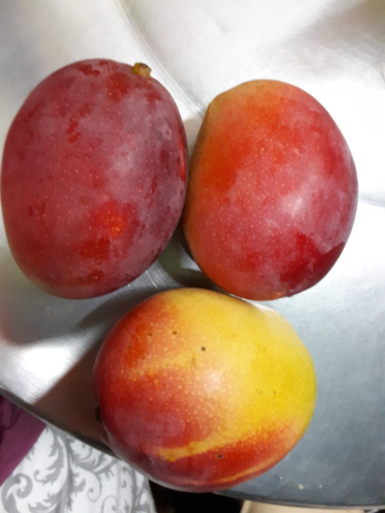Ultimate Guide to Fruits and Juices of Colombia - with 32 Stunning Pictures 24 Mangoes - Fruits and juices of Colombia. DownshiftingPRO