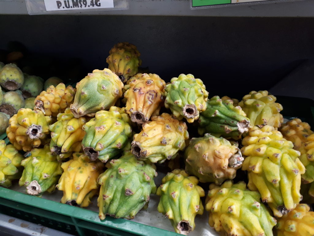 Ultimate Guide to Fruits and Juices of Colombia - with 32 Stunning Pictures 33 Pitaya - Fruits and juices of Colombia. DownshiftingPRO