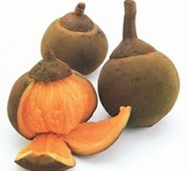 Ultimate Guide to Fruits and Juices of Colombia - with 32 Stunning Pictures 38 Fruits and juices of Colombia. DownshiftingPRO - Zapote