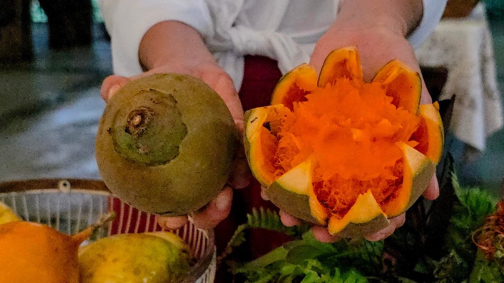 Ultimate Guide to Fruits and Juices of Colombia - with 40+ Stunning Pictures 47 Zapote Photo Credit Margarita Ibbott 1